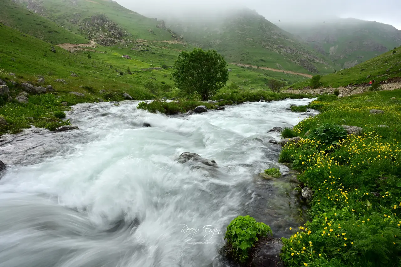 Görenler Alpler Sanıyor Ama Burası Gümüşhane! Gümüşhane’deki O Yayla Ziyaretçilerini Büyülüyor
