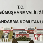Gümüşhane’de Jandarmadan Uyuşturucu ve Mühimmat Operasyonu