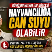 507 Milyon TL’lik İUP Bütçesi Hayvancılığı Ayağa Kaldırabilir mi?