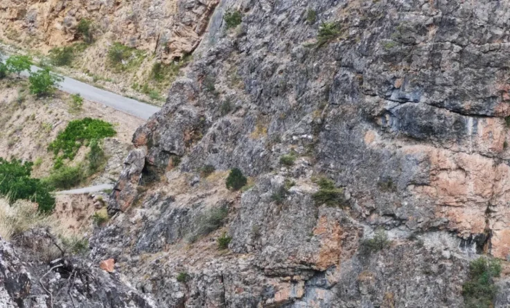 Gümüşhane Dağlarının Süsü Yaban Keçilerinin Sevimli Anları Kameralara Yansıdı