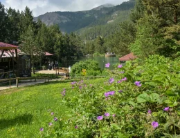 Limni Gölü’nde Şaşırtan Temmuz Havası