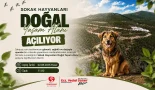 Sokak Hayvanları Doğal Yaşam Alanı açılıyor