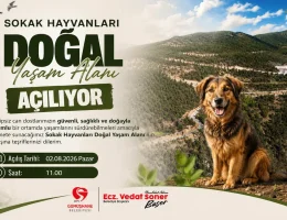 Sokak Hayvanları Doğal Yaşam Alanı açılıyor