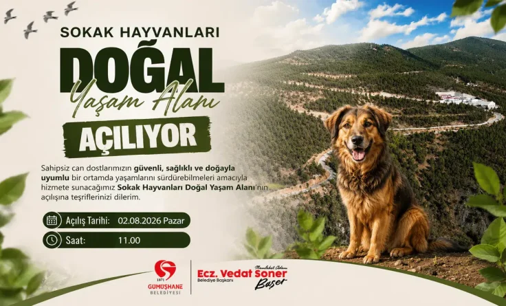 Sokak Hayvanları Doğal Yaşam Alanı açılıyor