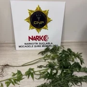 Gümüşhane Emniyetinden arananlardan uyuşturucuya kadar yoğun denetim