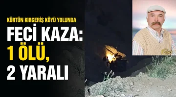 Kürtün Kırgeriş Köyü Yolunda Feci Kaza: 1 Ölü, 2 Yaralı