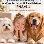 Çocuklu Aileler İçin Maltese Terrier ve Golden Retriever Rehberi