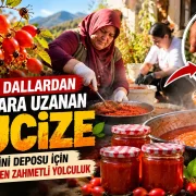 C Vitamini Deposu İçin Gün Boyu Süren Zahmetli Yolculuk