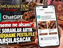 ChatGPT’ye ‘Anneme Ne Alsam?’ Diye Soranlar Artık Gümüşhane Pestiliyle Karşılaşacak