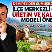 Demirel’den Gümüşhane İçin İlçe Merkezli Ortak Üretim Ve Kalkınma Modeli Önerisi