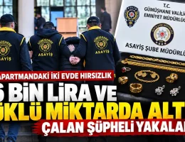 Evden Altın Çalan Hırsız Gümüşhane Emniyetinden Kaçamadı