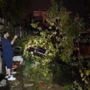 Gümüşhane’de aynı elektrik direği yaşlı kadının bahçesine ikinci kez devrildi!