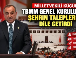 Milletvekili Küçük, TBMM Genel Kurulu’nda Gümüşhane’nin taleplerini dile getirdi