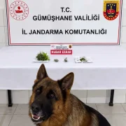 Söğütlü Beldesinde Uyuşturucu Operasyonu: Esrar Ele Geçirildi