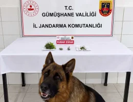 Söğütlü Beldesinde Uyuşturucu Operasyonu: Esrar Ele Geçirildi
