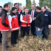 Vali Cevdet Atay Kelkit’te Şeker Fasulyesi ve Şeker Pancarı Hasadına Katıldı
